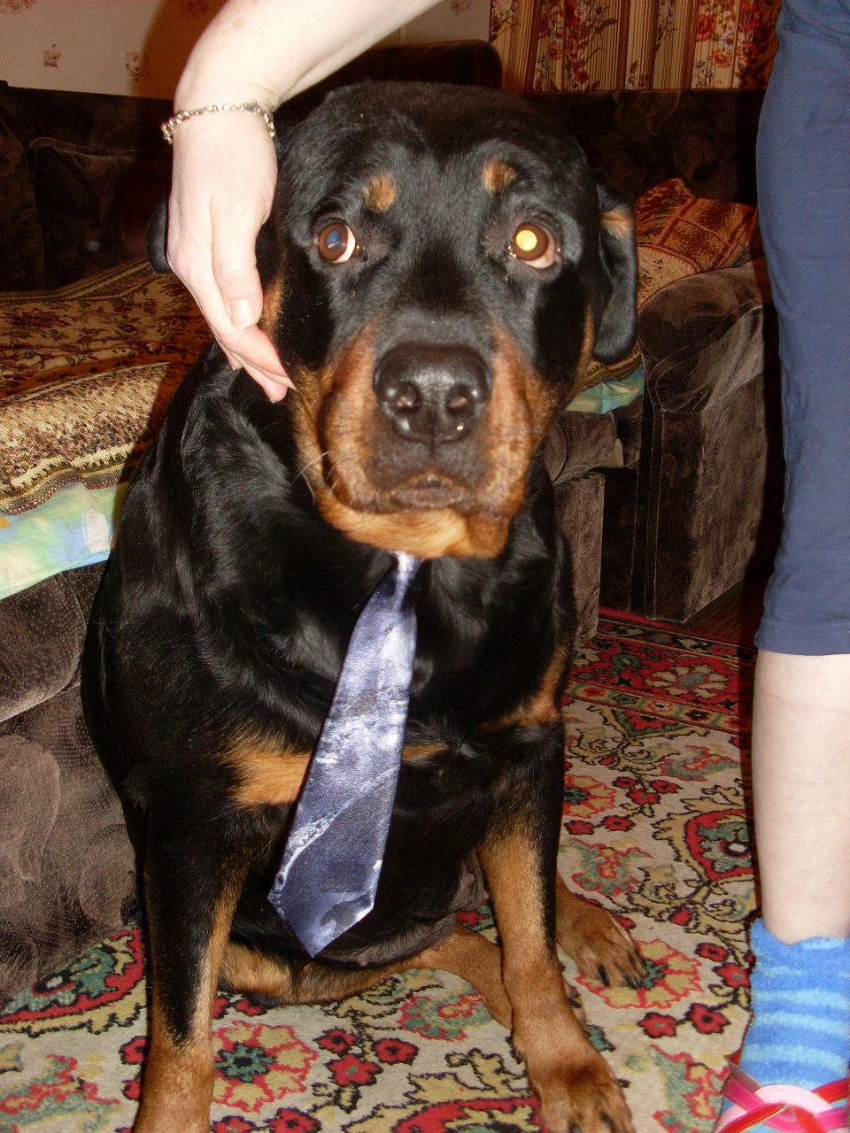 Димка Клепиков | Санкт-Петербург