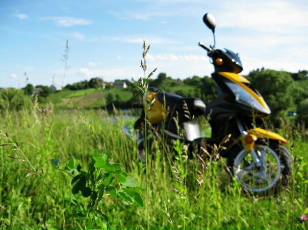 №20, Назар Човганський, 35 лет, Ровно №20, Назар Човганський, 35 лет, Ровно