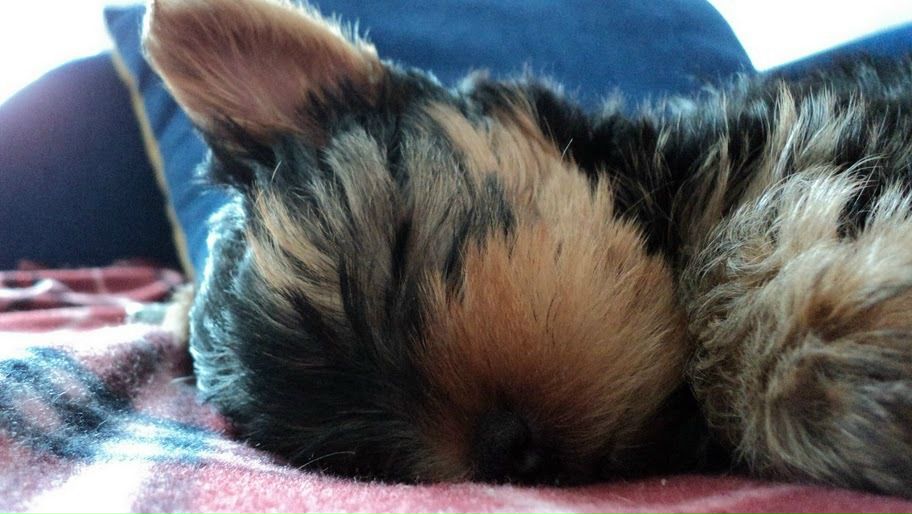 №6, Юра Король №6, Юра Король