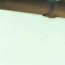 №17, Лилия Кьюбина №17, Лилия Кьюбина