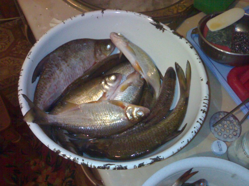 Виктор Тесля | Киев