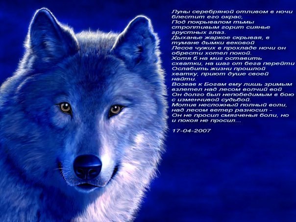 Виталий Андреев | Казань