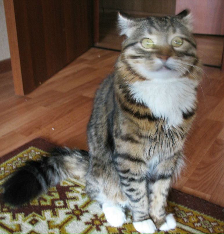 Маргарита Босых *puma* | Москва