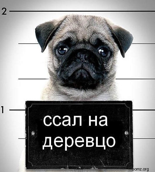 №5, Евгений Репка, 36 лет, Днепр (Днепропетровск) №5, Евгений Репка, 36 лет, Днепр (Днепропетровск)