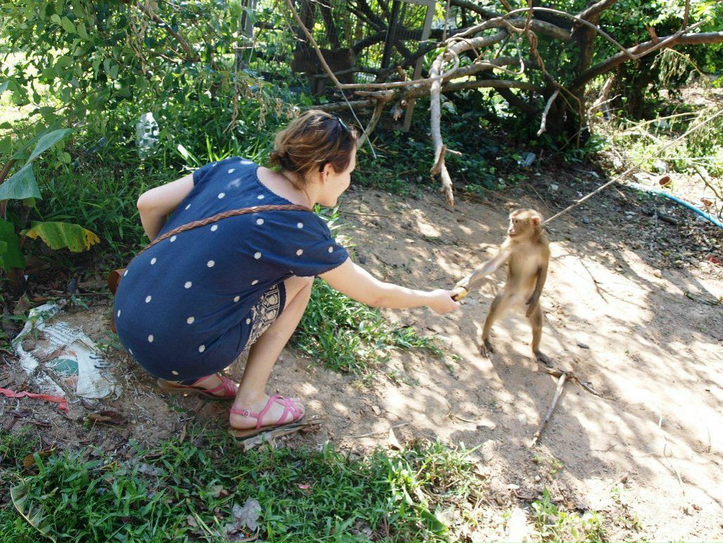 Лариса Павленко | Дмитров
