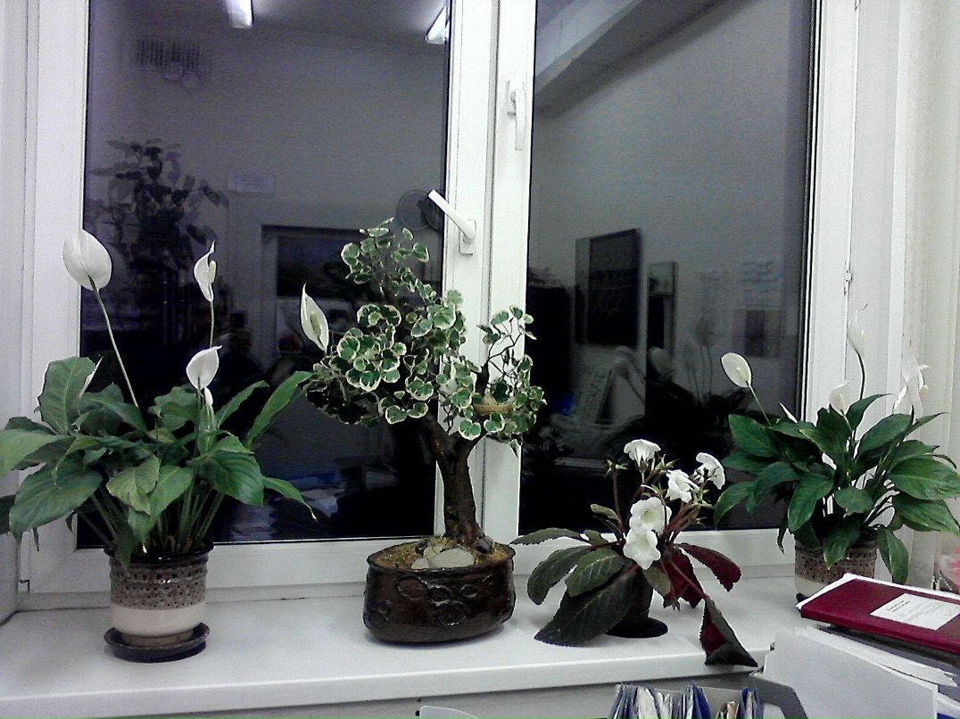 Дмитрий Чертыков | Миасс