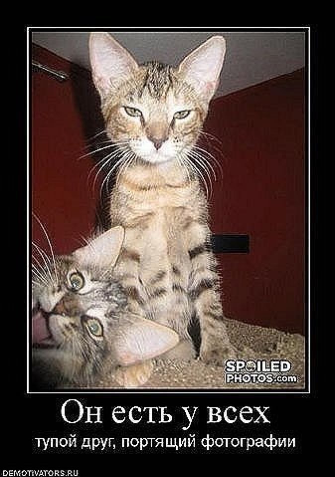 Серёжа Франык | Киев