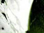 Ольга Говорунова | Майкоп