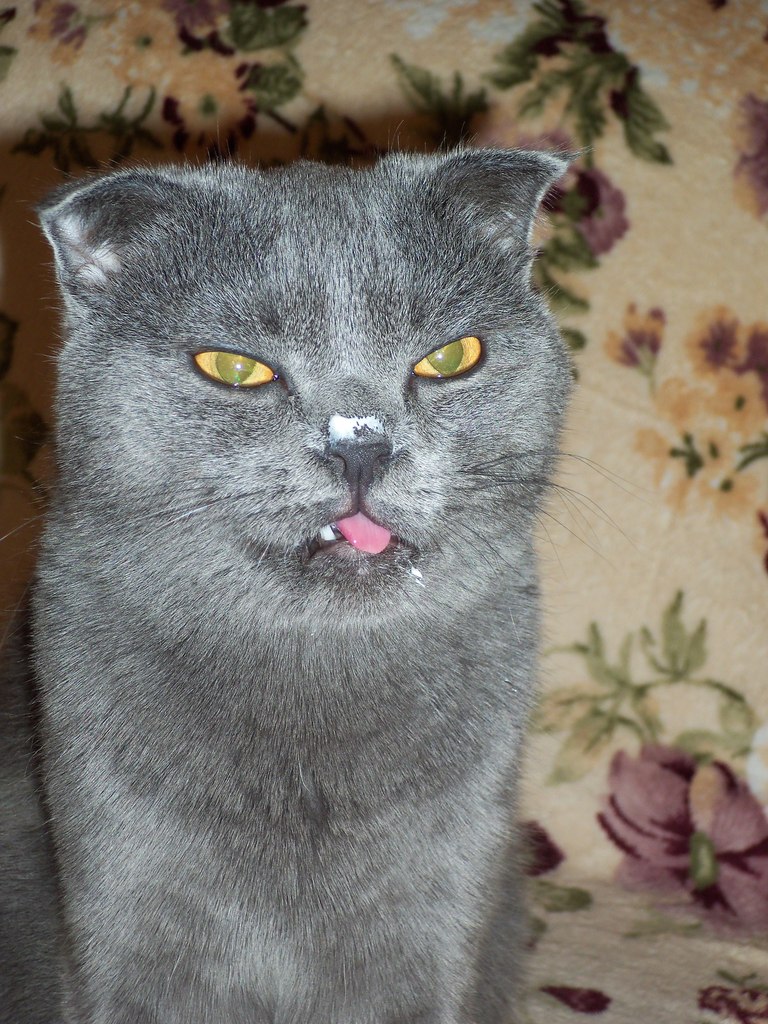 Юлиана Орлова | Санкт-Петербург