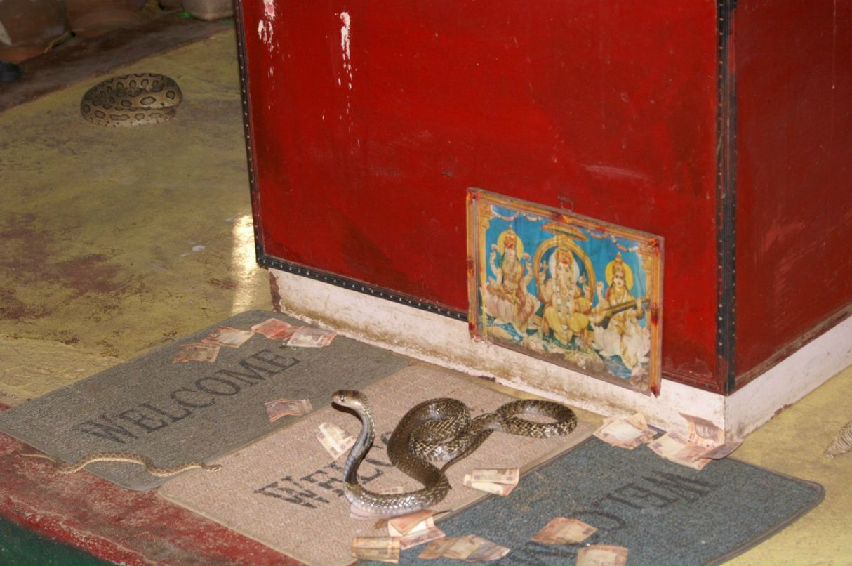 Ольга Кужель | Киев