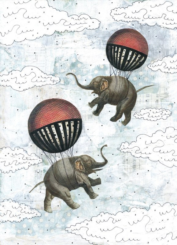 Дарья Парменова | Вологда