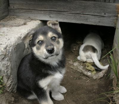 Сергей Половинкин | Нижний Новгород