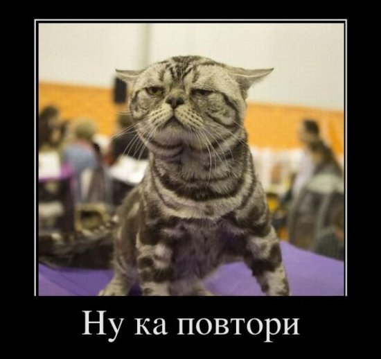 Андрей Кононов (KONAN) | Степурино