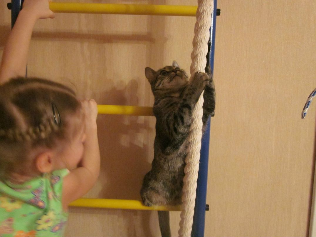 Дмитрий Козлов | Нижний Новгород