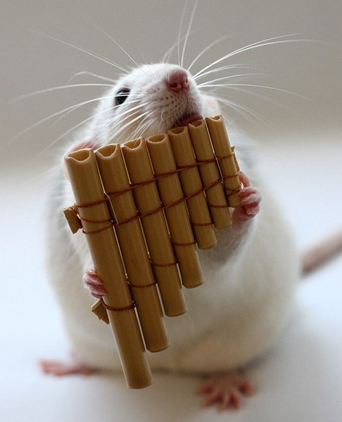 Сергей Мавров | Николаев