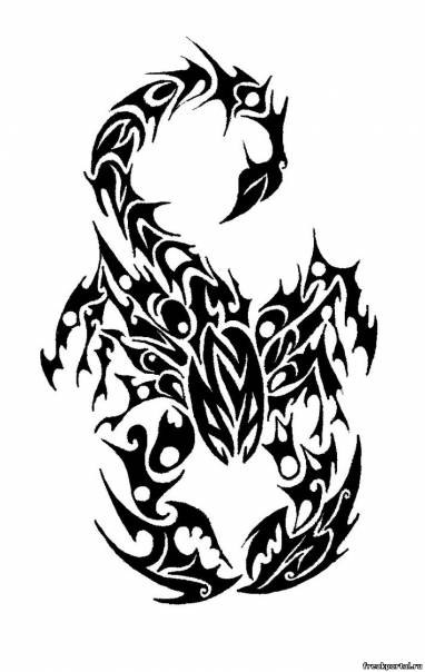 Сергей Болдырев | Новосибирск