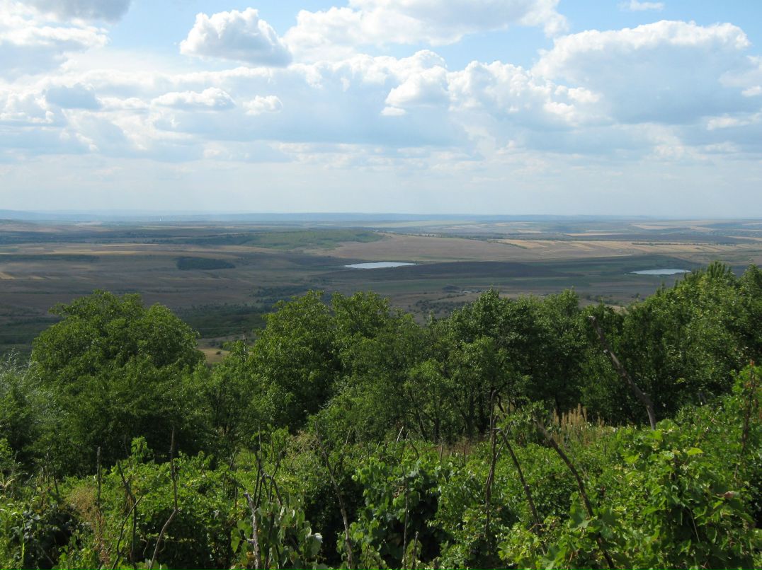 Надежда Михайлова | Москва