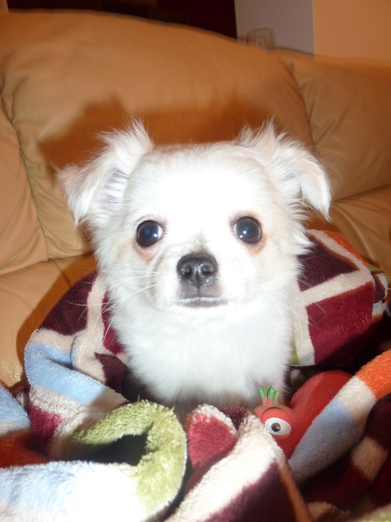 Стива Ивонинский | Санкт-Петербург