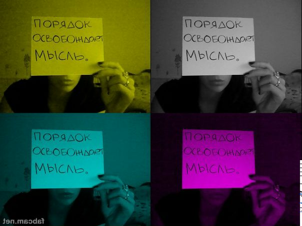 №101, Лина Бразильская, 12.11, Сочи №101, Лина Бразильская, 12.11, Сочи
