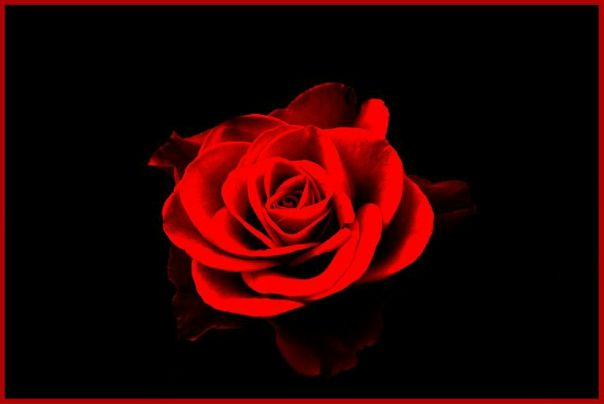 №76, Елена Евплухина, 35 лет, Междуреченск №76, Елена Евплухина, 35 лет, Междуреченск