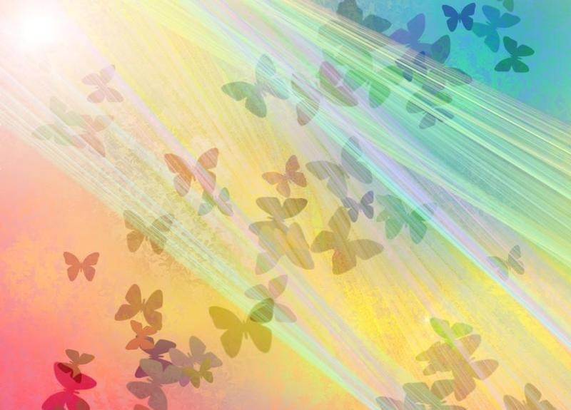 Елена Чернова | Харьков