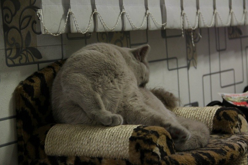 Федор Удавиченко | Тюмень