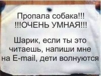 Рома Даценко §DOCENT§ | Александрия