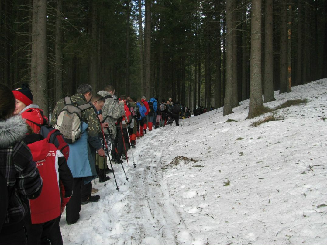 Діма Кохан | 