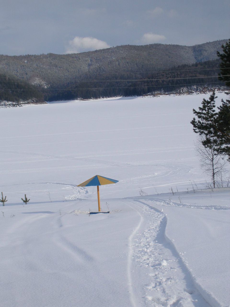 Ольга Журавлева VASILISK | Красноярск