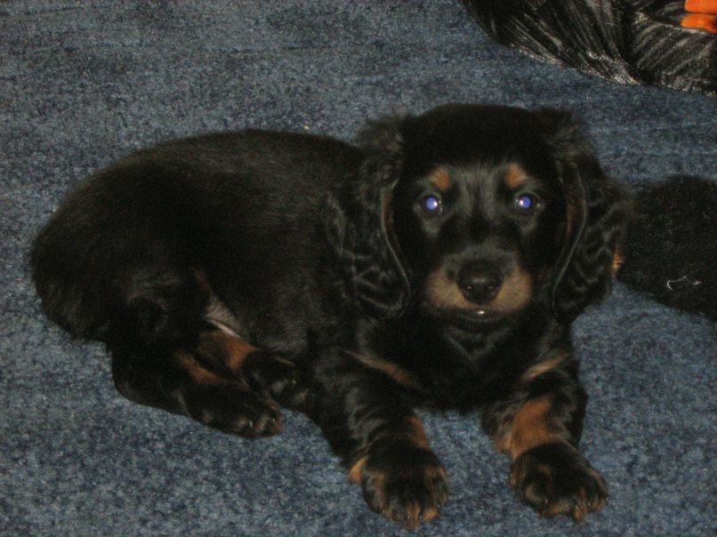 Виктор Ларионов | Санкт-Петербург