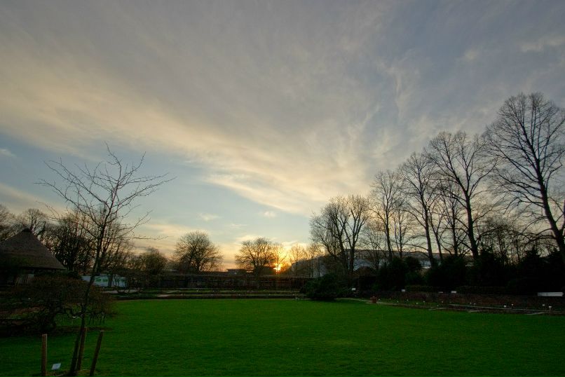 Максим Маус | 