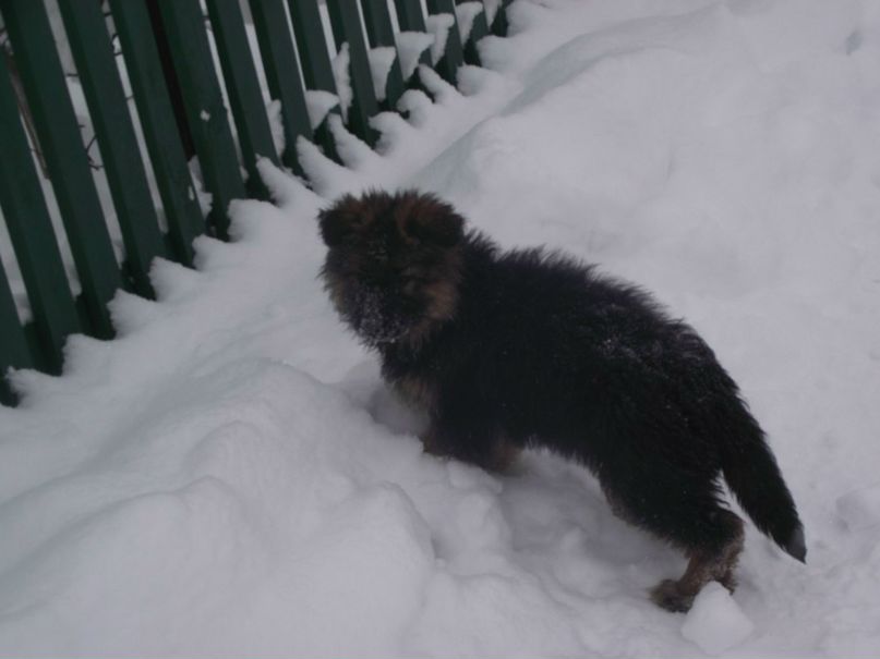 Сергей Мотрушенко ..$@АKELLA@$ | Киев