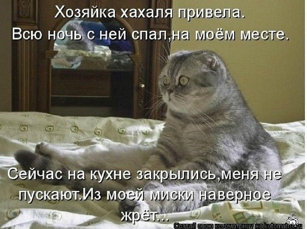 Екатерина Иванова | 
