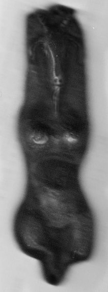 Музыкальный Проигрыватель | Москва