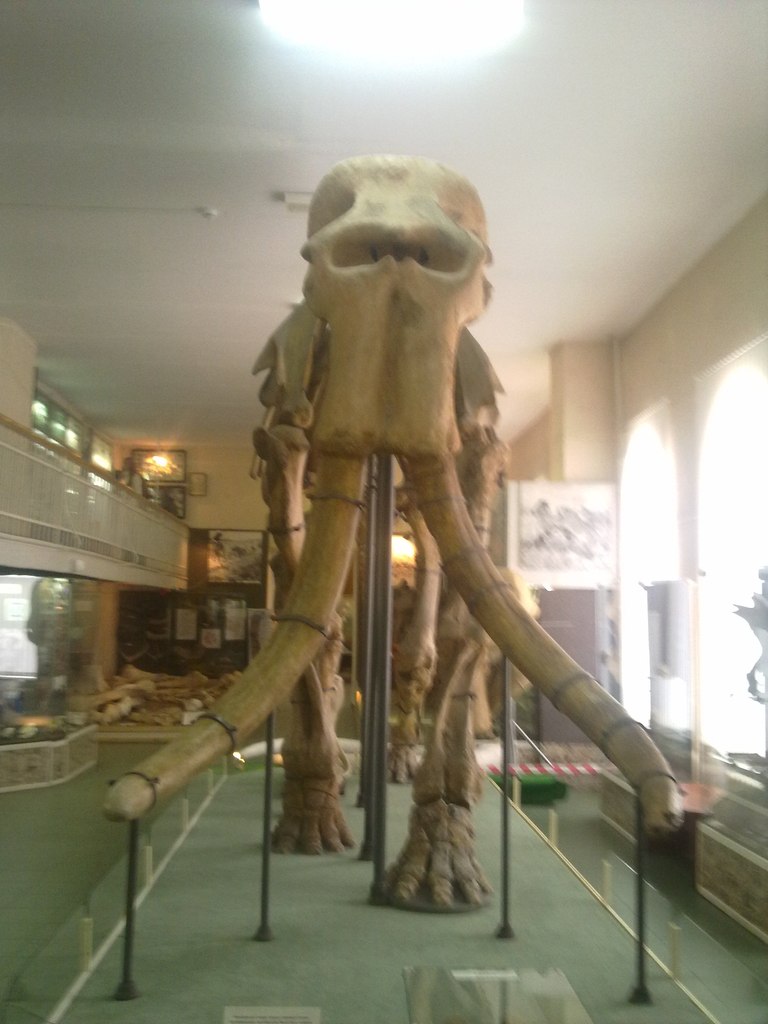 Лёха Шаров | Кулешовка