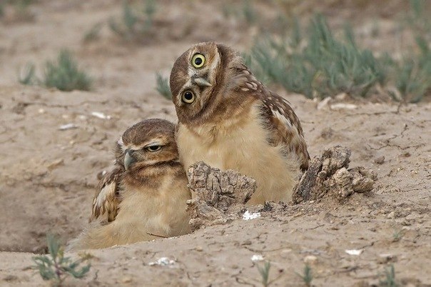 Сэшка Савельева ♡Exclusive Baby♡ | Москва