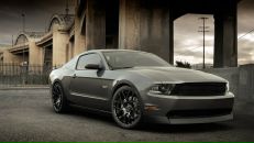 Фотография Ford Shelby