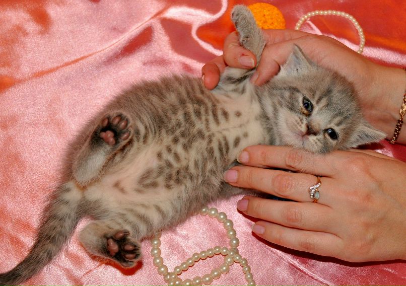 Ольга Скобелева(Полякова) | Псков