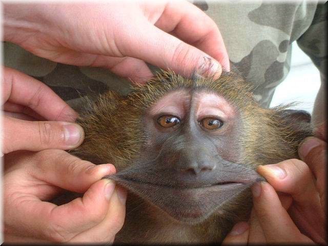 Андрей Дрожжин | 