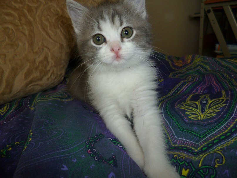 Светлана Лопатина | Киров