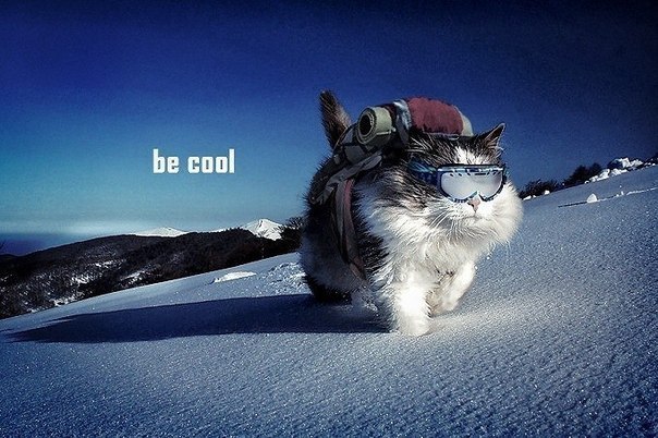 Ольга Азия | Москва