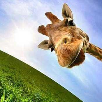 Vik Vik Ivanova | Москва