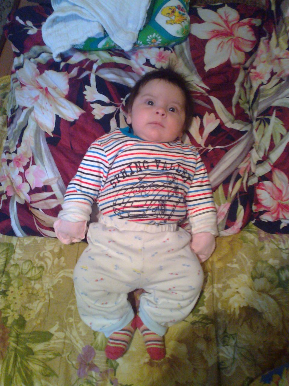 Карина Глазова Вячеславовна | Щекино