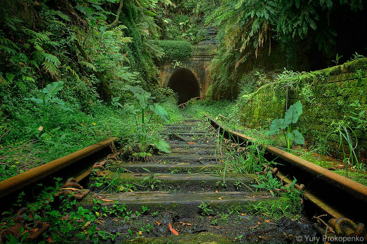 Петр Потехин | Новосибирск