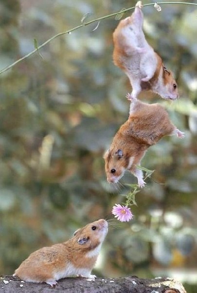 №137, Даниил Клименко, Одесса №137, Даниил Клименко, Одесса