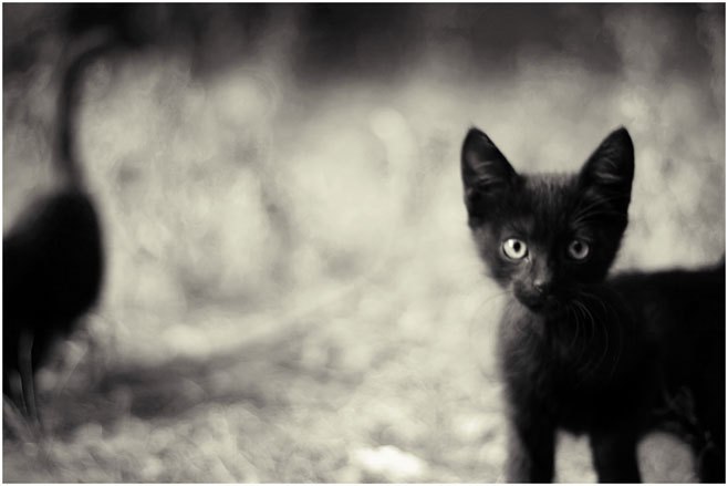 Захар Mango | Калининград