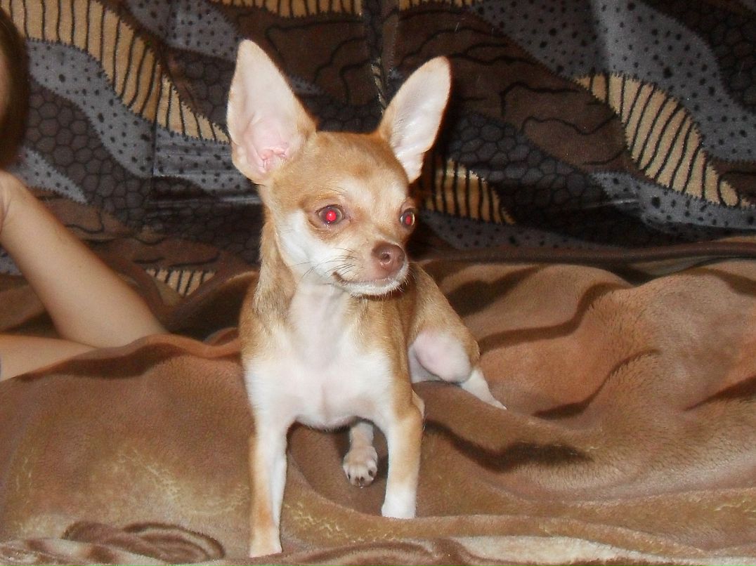 Стас Коротков | Харьков