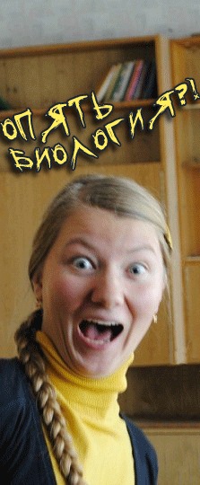 №72, Алиса Новоселецкая, Киев №72, Алиса Новоселецкая, Киев