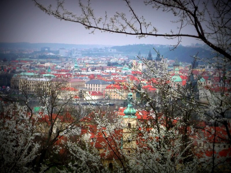 Виктория Эфэм | Berlin