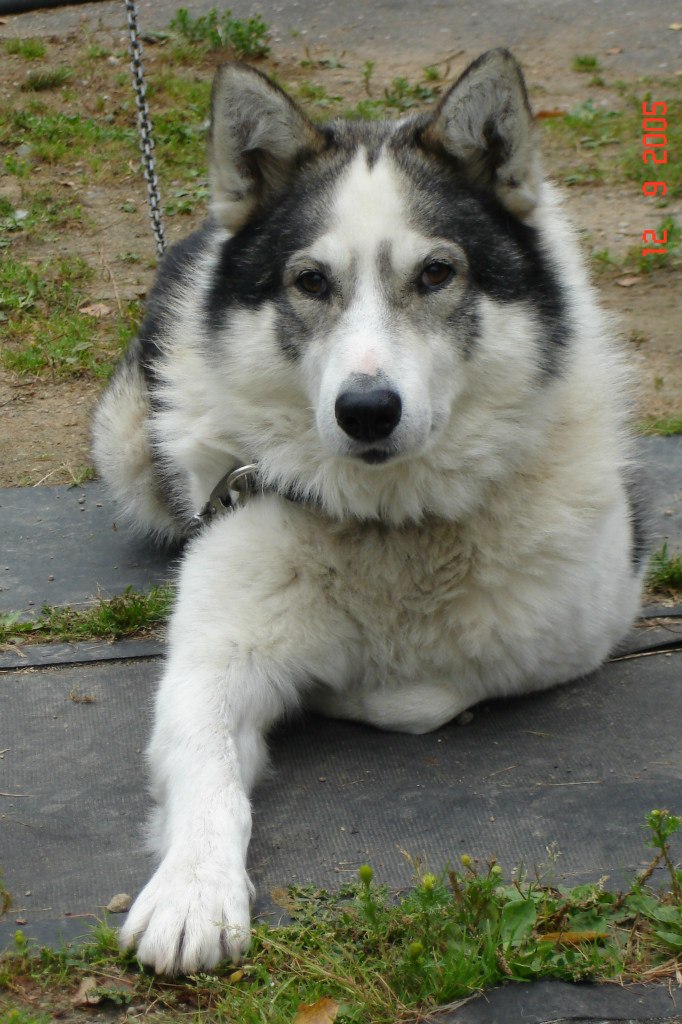 Ирина Смирнова | Санкт-Петербург